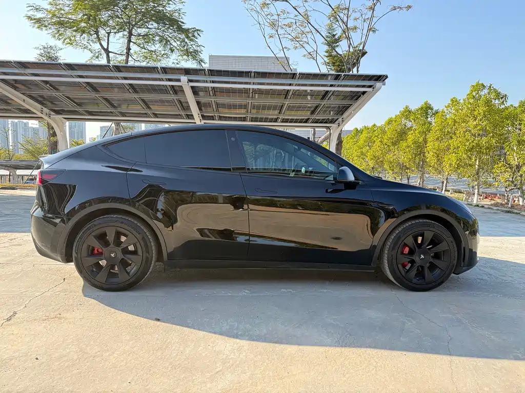 Tesla Model Y 2021 — фото 10