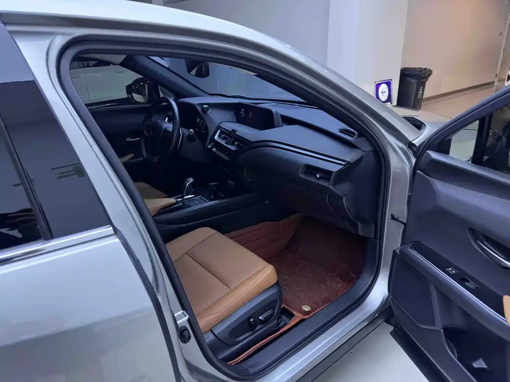 Lexus UX New Energy 2022 — фото 10