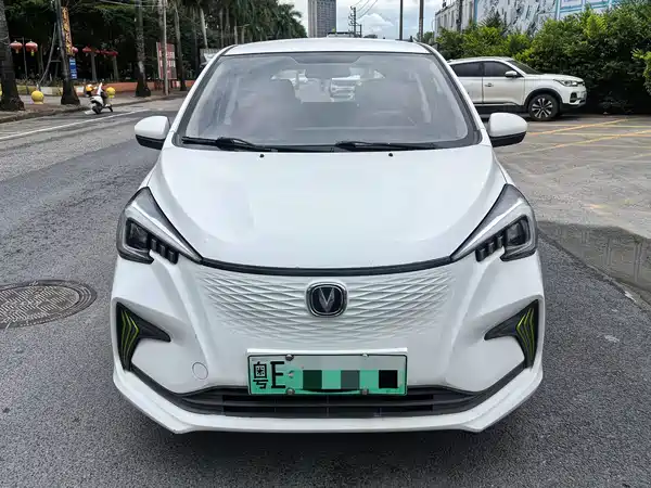 Changan Benben E-Star 2020