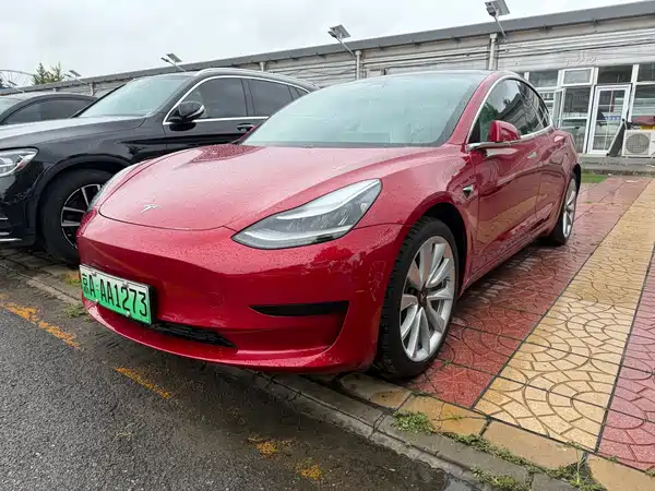 Tesla Model 3 2021