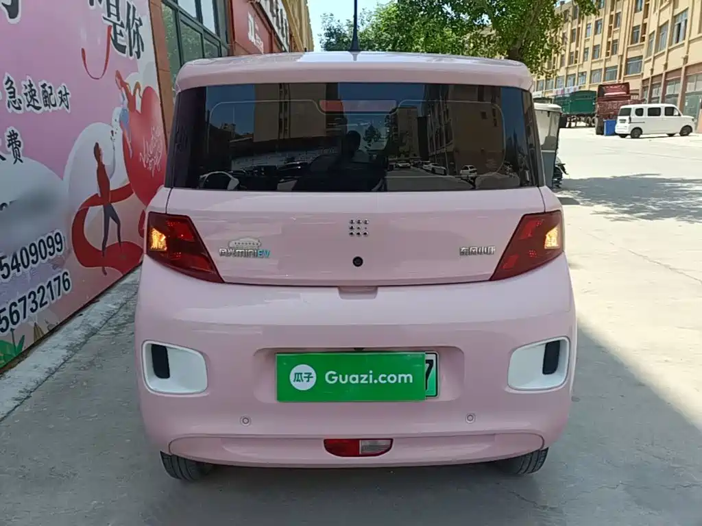 Fengguang MINIEV 2024