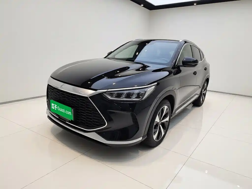 BYD Song PLUS New Energy 2023 — фото 1