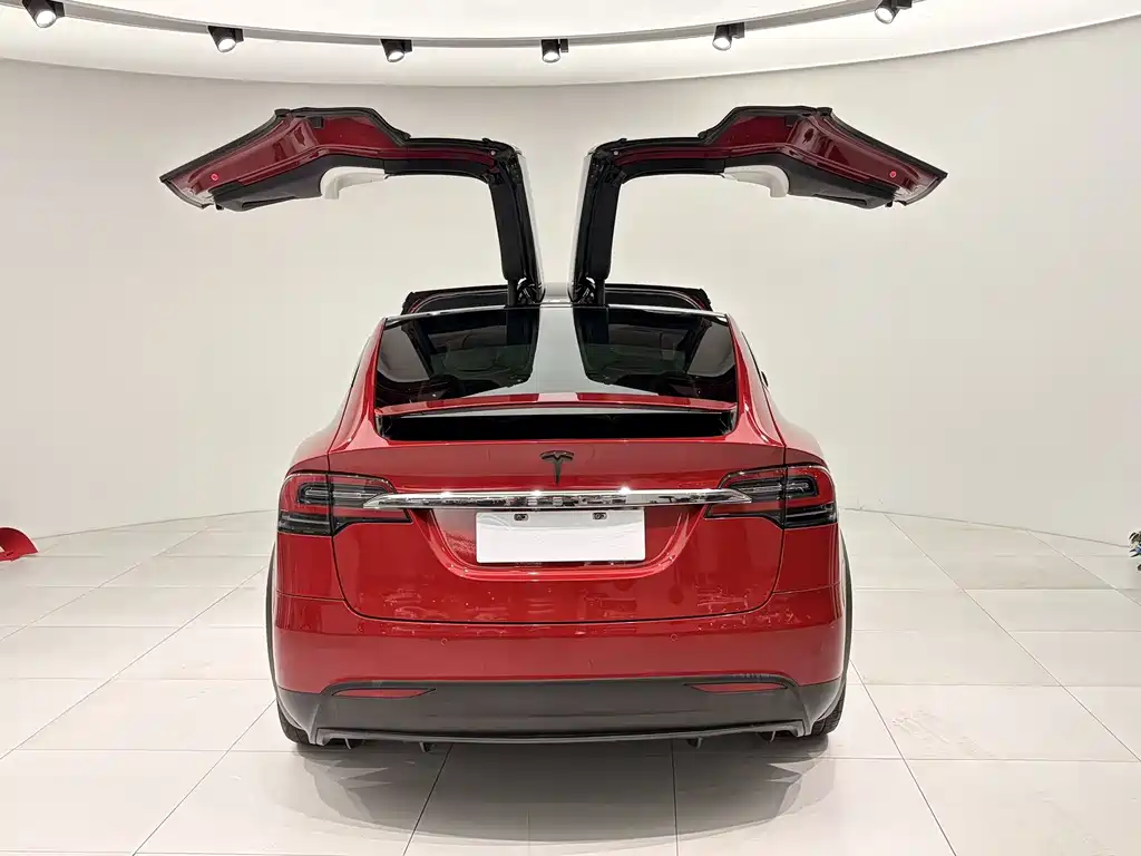 Tesla Model X 2019 — фото 9