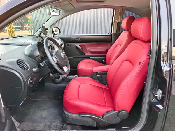 Volkswagen Beetle 2010