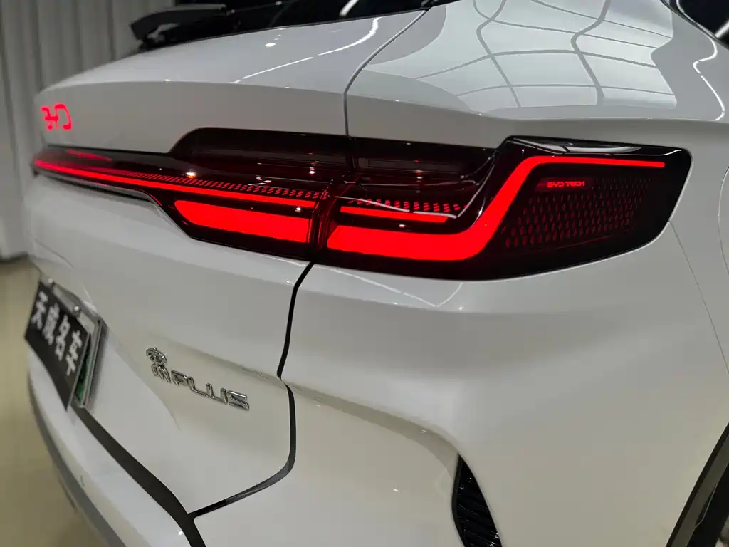 BYD Song PLUS New Energy 2024 — фото 17