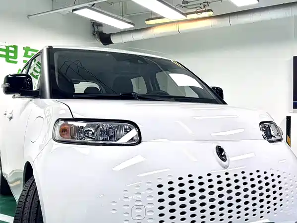Ora White Cat 2021