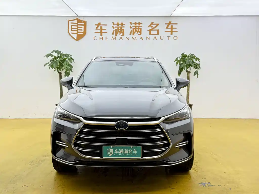 BYD Tang New Energy 2024