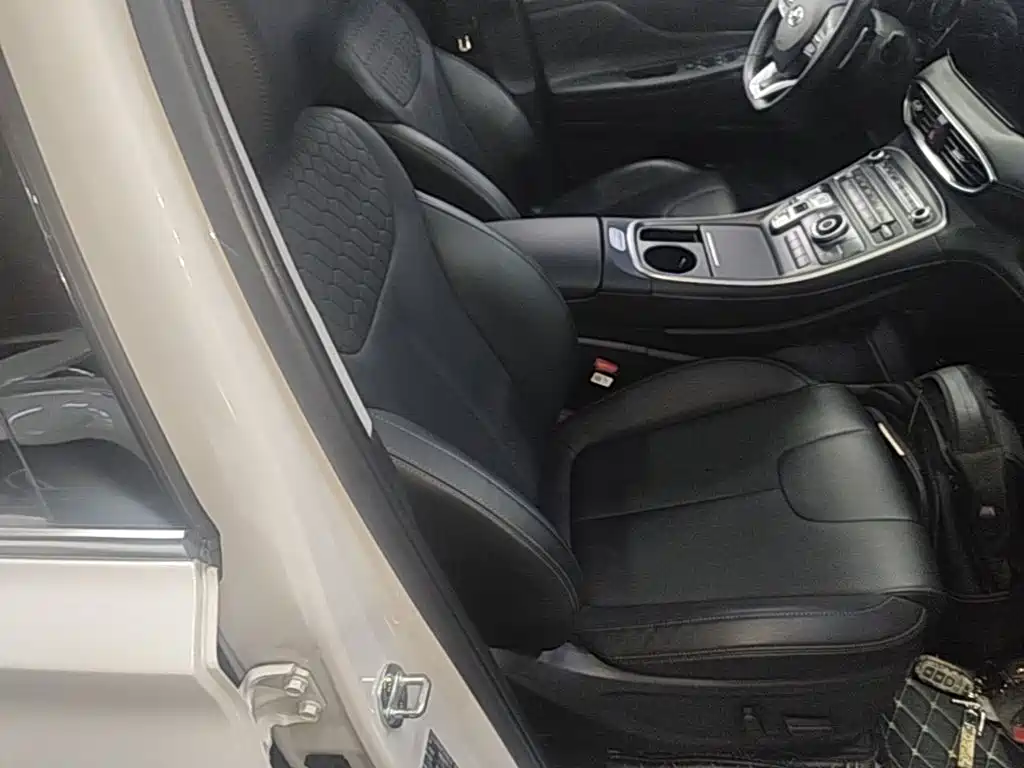 Hyundai Santa Fe 2023 — фото 25