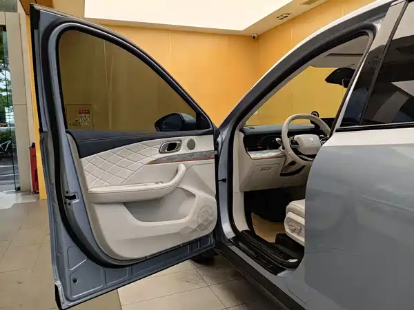 Neta L 2024