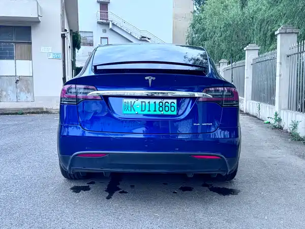 Tesla Model X 2019