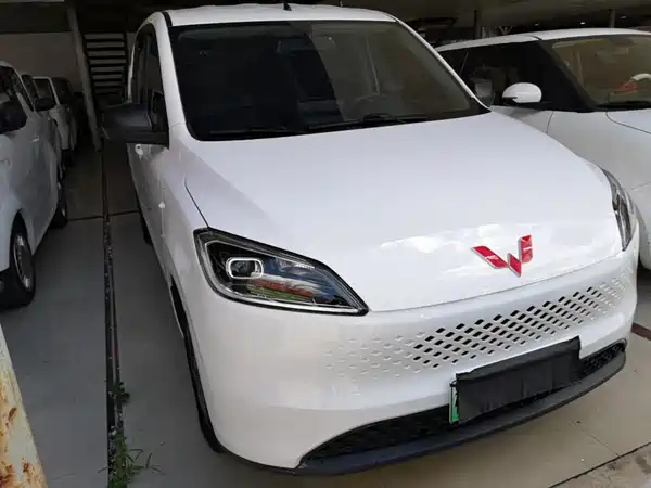 Wuling Hongguang New Energy 2025