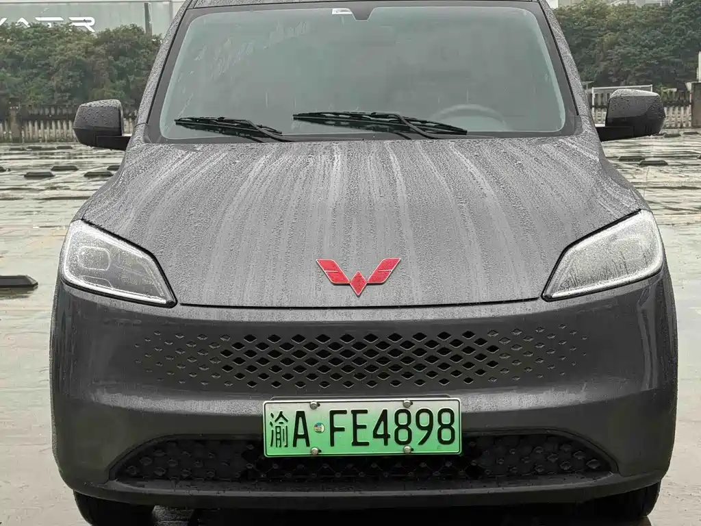 Wuling Hongguang New Energy 2025