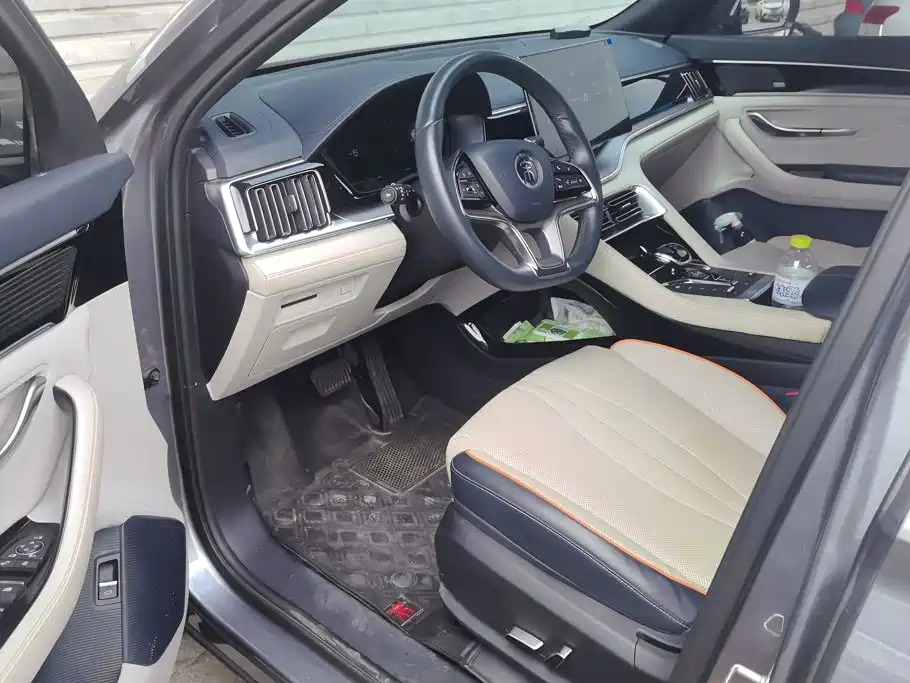 BYD Song PLUS New Energy 2022 — фото 9