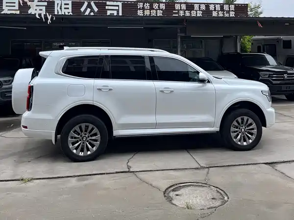 Tank 500 New Energy 2025