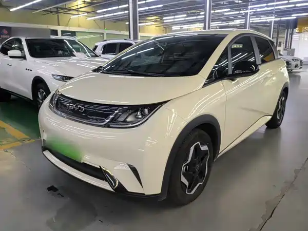 BYD Dolphin 2025