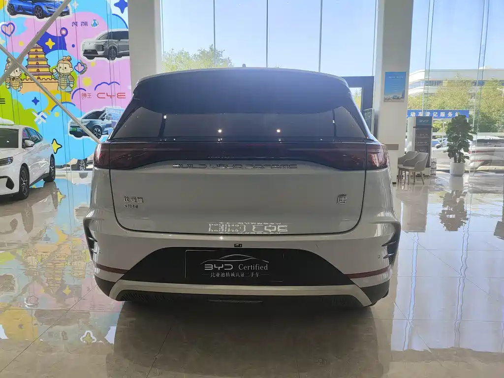 BYD Tang New Energy 2024