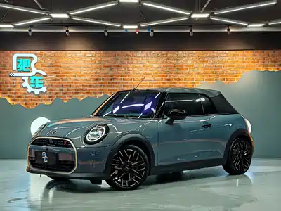 MINI MINI 2025
