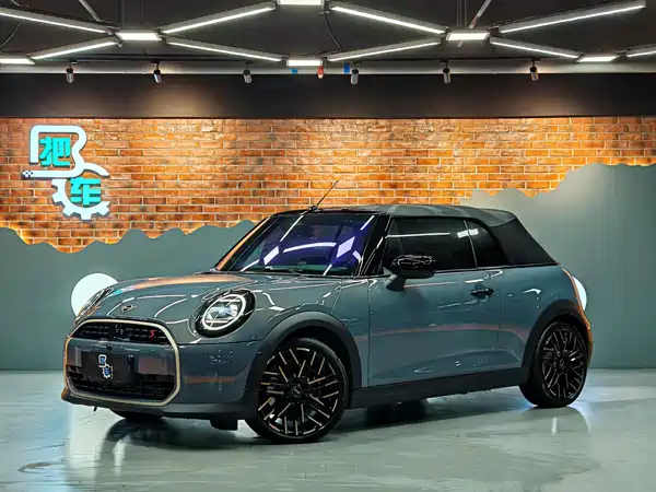 MINI MINI 2025