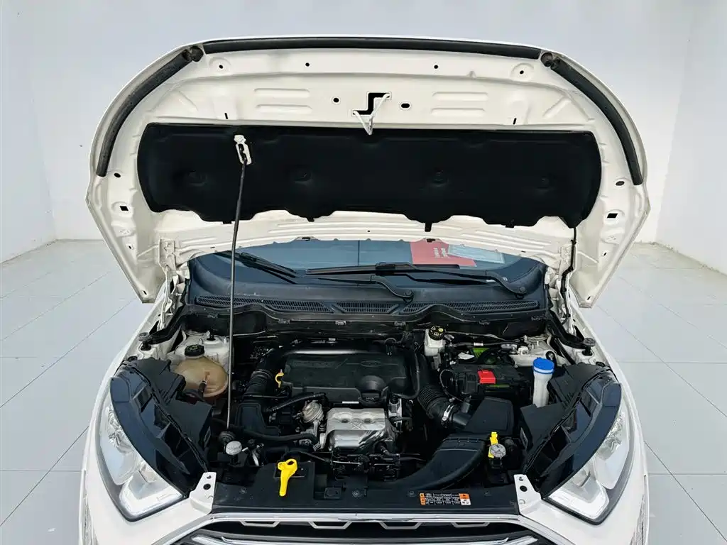 Ford Ecosport 2017 — фото 25
