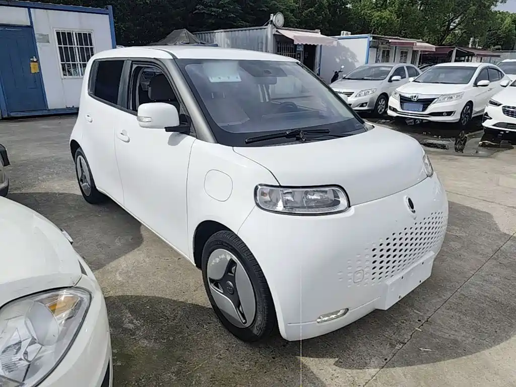 Ora White Cat 2021