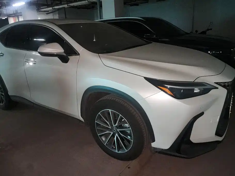 Lexus NX New Energy 2023 — фото 1
