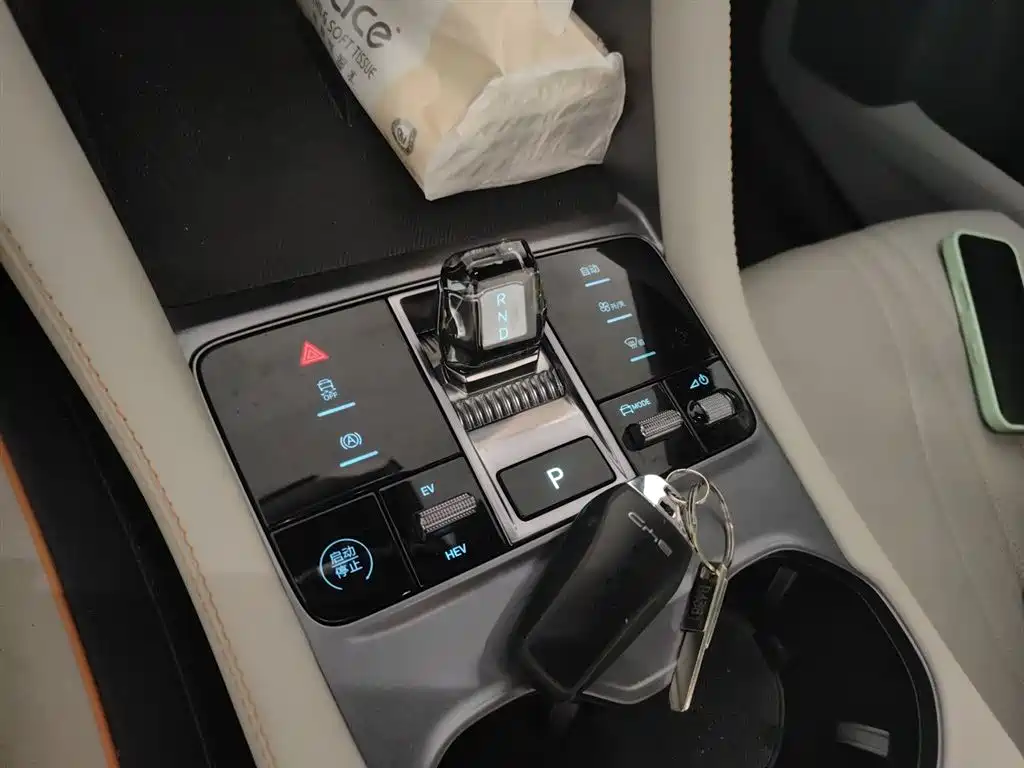 BYD PLUS New Energy 2023 — фото 15