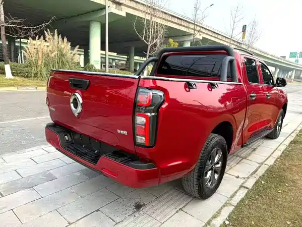 Great Wall Poer 2024