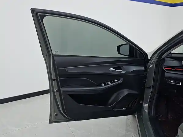 Geely Binrui 2023