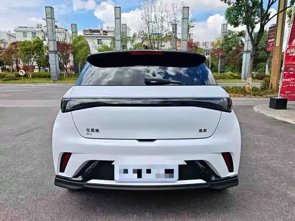 BYD Dolphin 2024