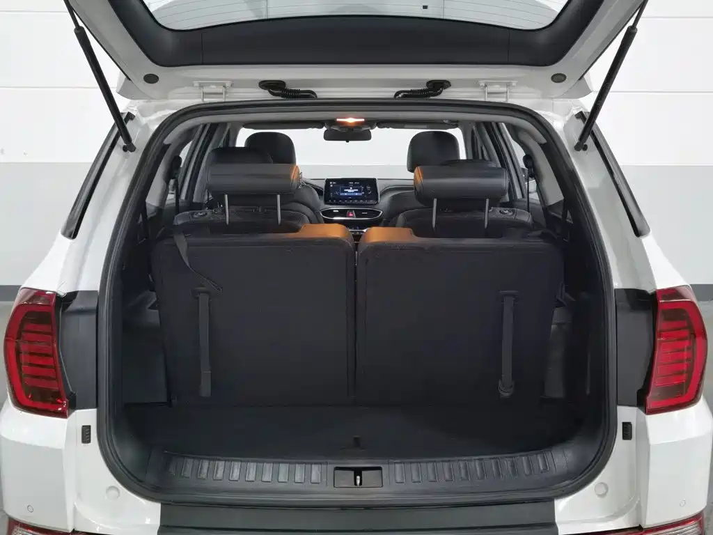 Hyundai Santa Fe 2021 — фото 16