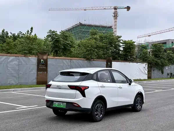 Neta V 2021