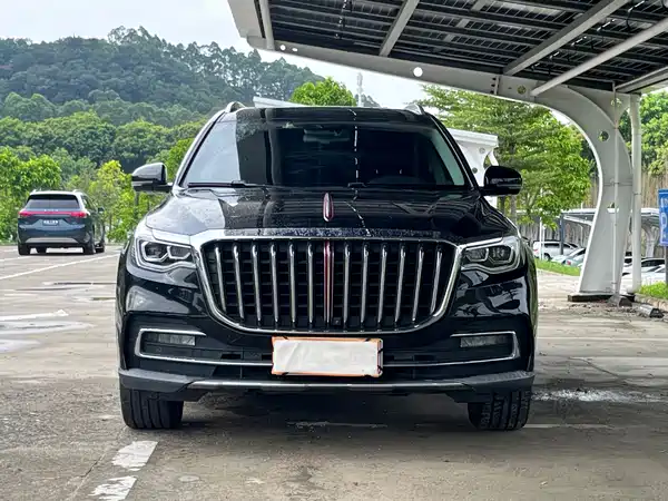 Hongqi HS7 2021