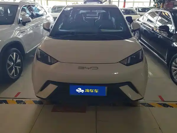 BYD Seagull 2024