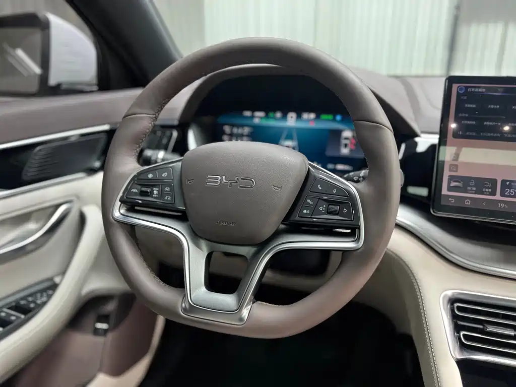 BYD Song PLUS New Energy 2024 — фото 12