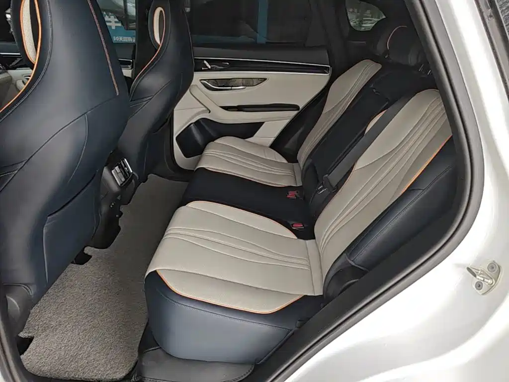 BYD Song PLUS New Energy 2023 — фото 17