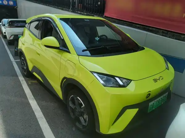 BYD Seagull 2024