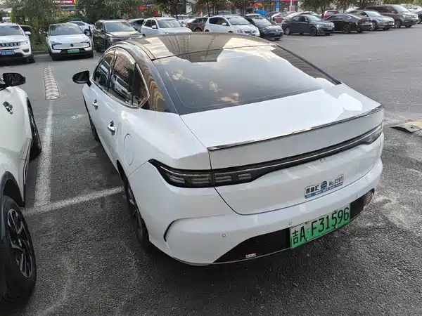 BYD Destroyer 05 2024