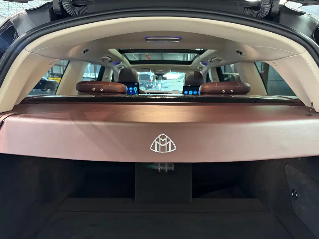 Mercedes-Benz GLS 2022 — фото 25