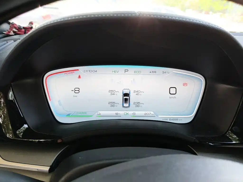 BYD Song PLUS New Energy 2024 — фото 12