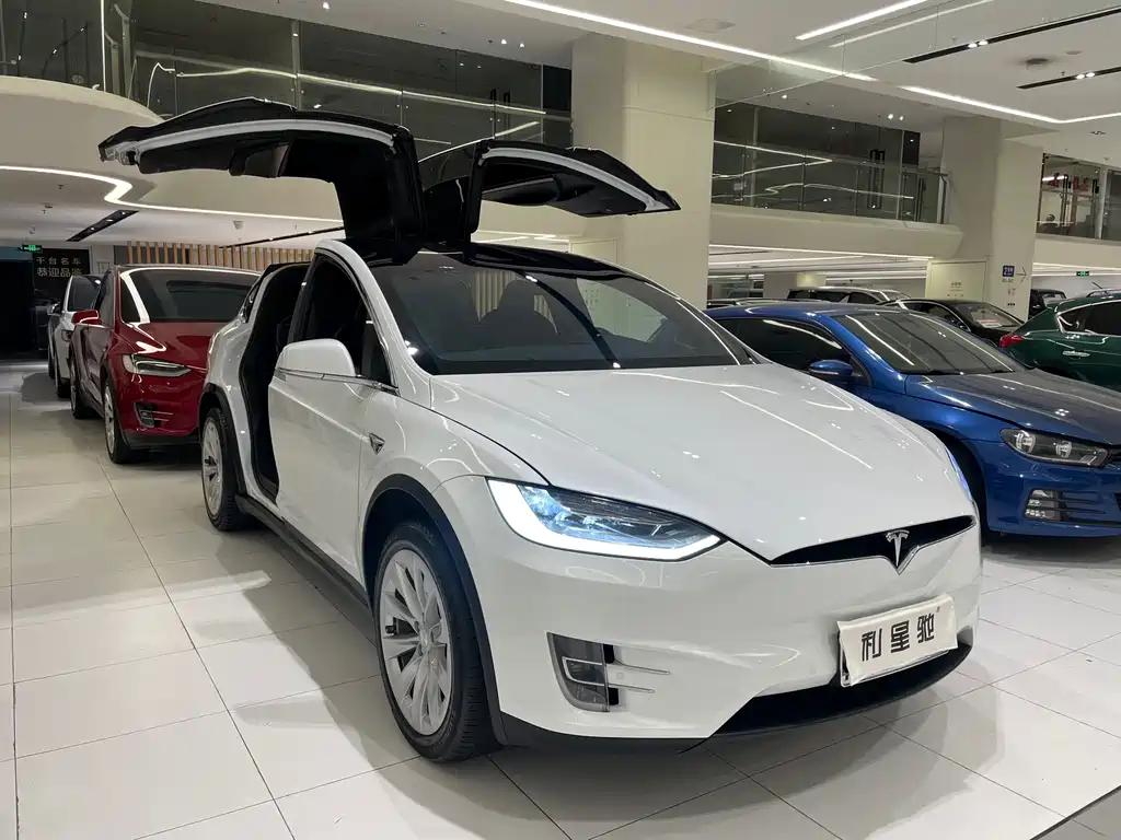 Tesla Model X 2020 — фото 2