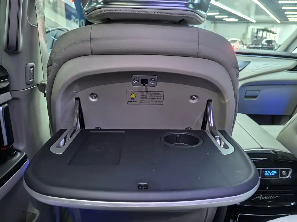 Buick GL8 2023 — фото 15