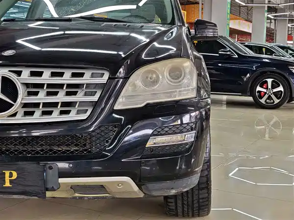 Mercedes-Benz M-Class 2010
