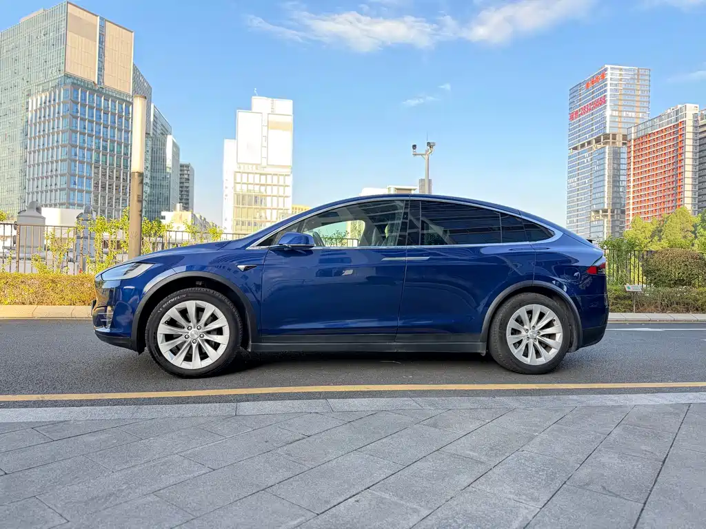 Tesla Model X 2019 — фото 3