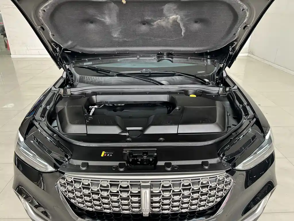 Wey VV6 2021 — фото 20