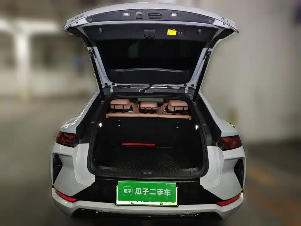 BYD L EV 2025 — фото 10
