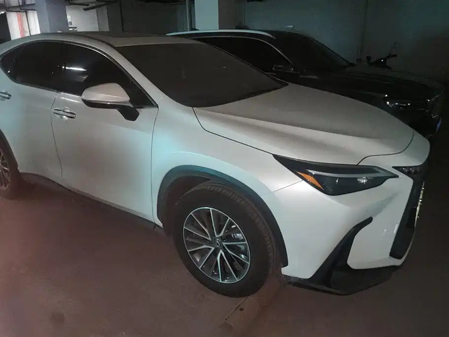 Lexus NX New Energy 2023 — фото 2