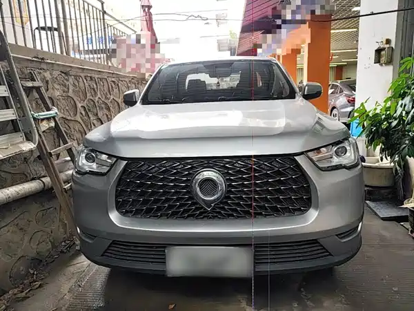 Great Wall Poer 2020