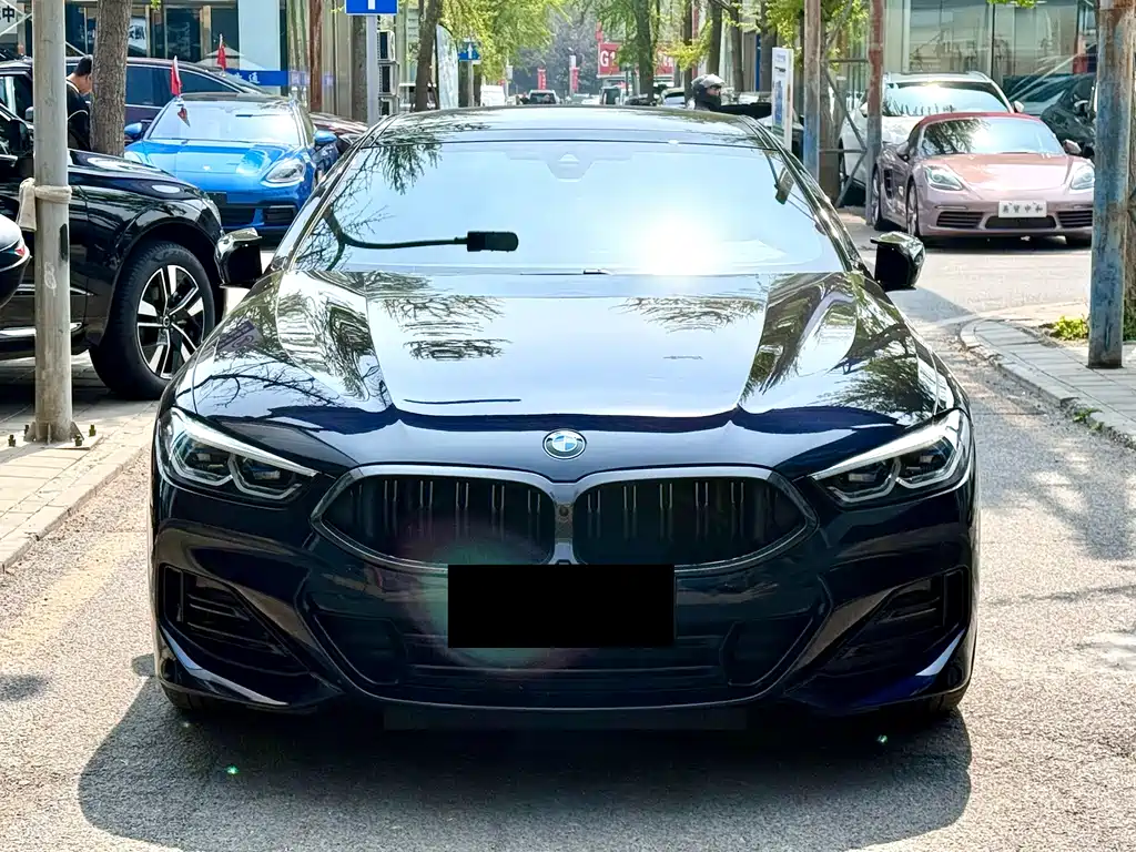 BMW 8 Series 2024 — фото 2