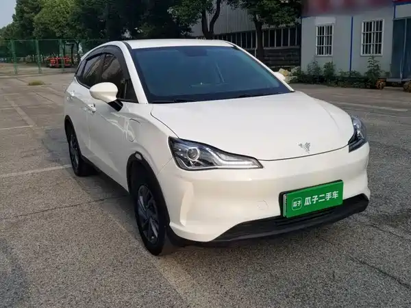 Neta V 2021