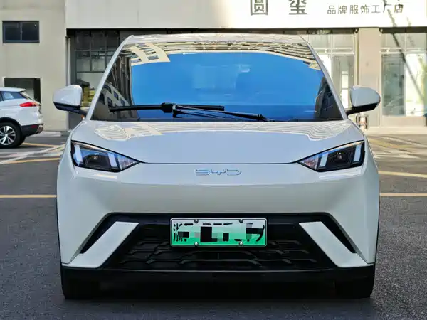 BYD Seagull 2024